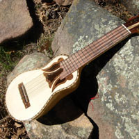 small andean stringed instruments